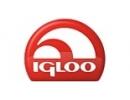 Igloo