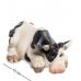 Фигурка "Корова" 8x13x6 см., полистоун Sealmark, США